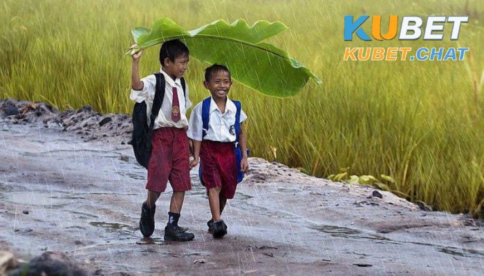 Giải đáp giấc mơ thấy đi học và con số may mắn nên đánh 3 Ngủ mơ thấy đi học cùng bạn thân