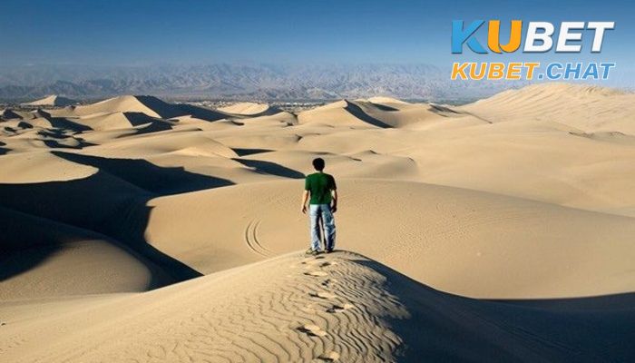 Mơ thấy đi lạc đường điềm báo điều gì? 99+ con số nên đánh 5 Mơ tháy đi lạc đường giữa sa mạc