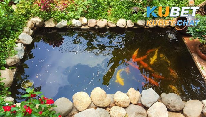 Mơ thấy giếng nước có ý nghĩa gì? 99+ con số may mắn chắc thắng 2 Mơ thấy giếng nước đầy cá đang bơi