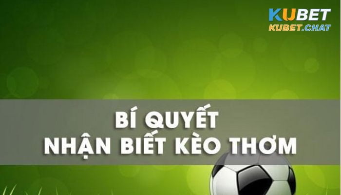 Kèo thơm là gì? 4 lưu ý cực quan trọng khi tham gia kèo này 3 Những lưu ý về cách chọn kèo thơm