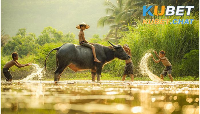 Mơ thấy trâu đánh con gì? Điềm báo gì qua giấc mơ này? 1 Ý nghĩa của giấc mơ thấy trâu đánh con gì?