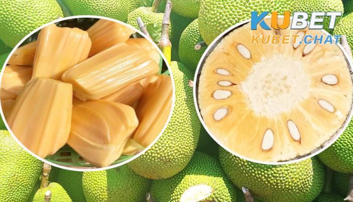 Mơ thấy quả mít - Ý nghĩa giấc mơ và con số cần đánh 1 Đôi nét về giấc mơ thấy quả mít