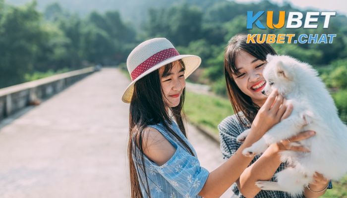 Giấc mơ mơ thấy chị gái và 10+ con số may mắn bạn nên đánh 3 Đánh số gì khi mơ thấy chị gái?