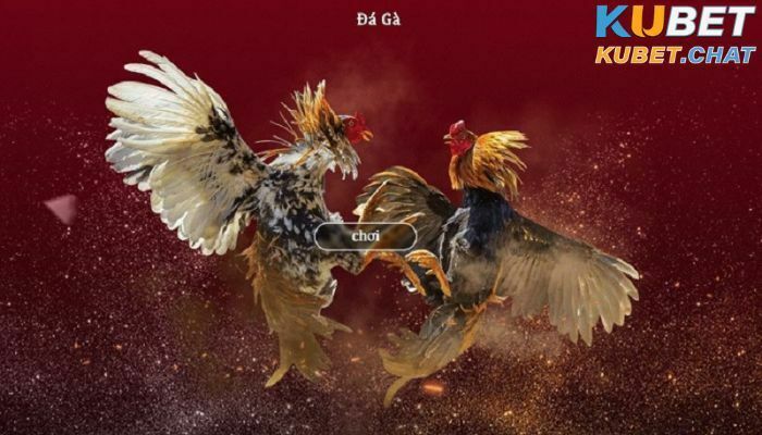 Đá gà online 4 Kinh nghiệm chơi đá gà online cho anh em