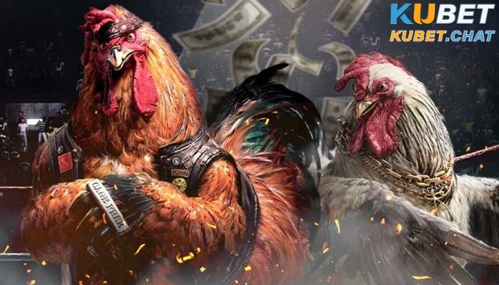 Đá gà online 5 Quan sát tỷ lệ đặt cược