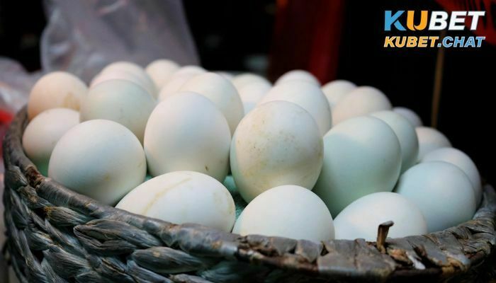 Mơ thấy vịt đánh con gì trúng? Lý giải chi tiết giấc mơ này 3 Mơ thấy trứng vịt
